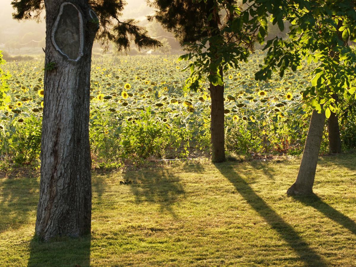 Domaine De Luzenac Acomodação com café da manhã Val-du-Faby Exterior foto