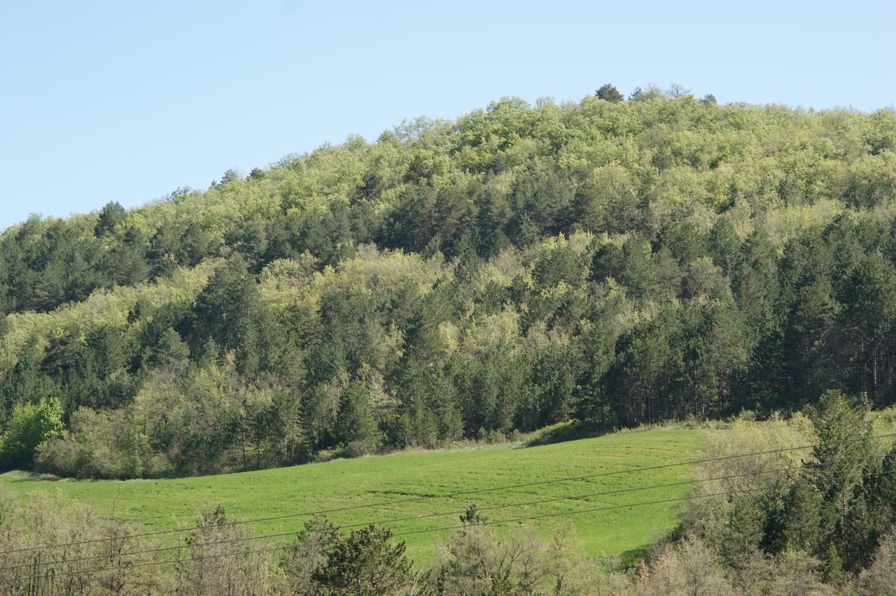 Domaine De Luzenac Acomodação com café da manhã Val-du-Faby Exterior foto